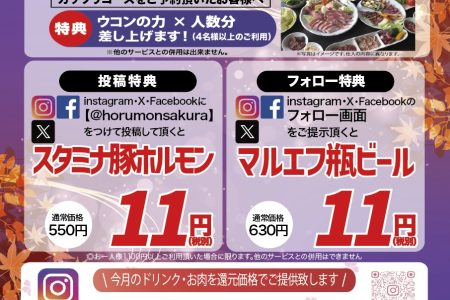 2025年11月のチラシ